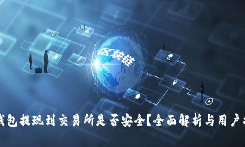 TP钱包提现到交易所是否安全？全面解析与用户指南
